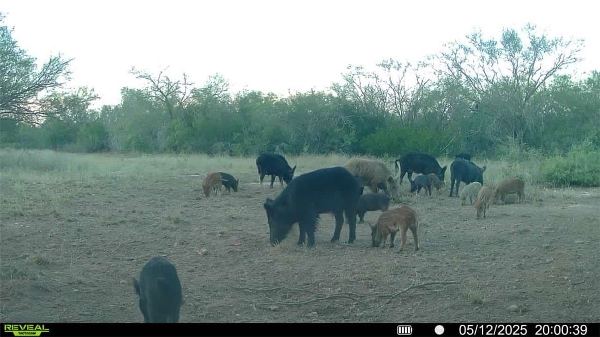25 acres in Duval County - photo 4