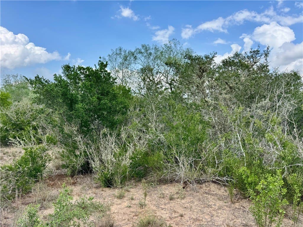 25 acres in Duval County - photo 29