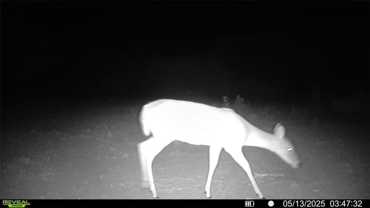 25 acres in Duval County - photo 6