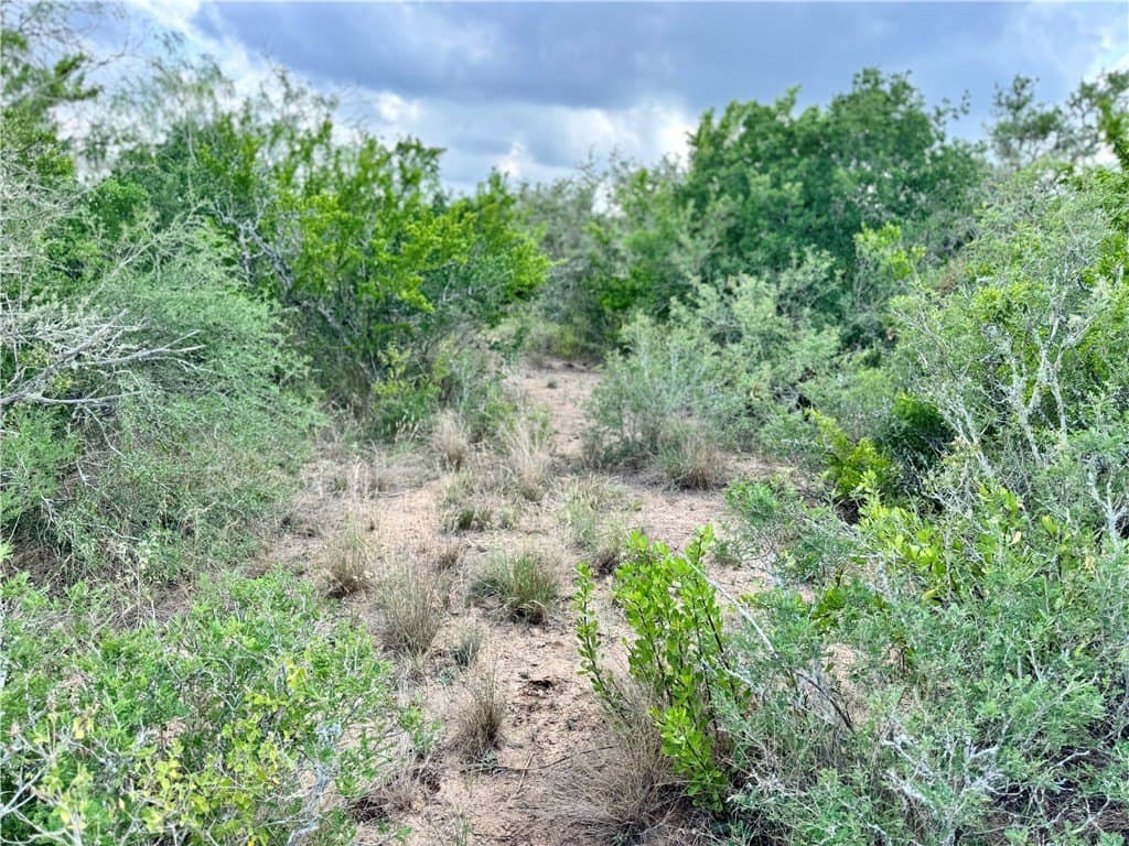 25 acres in Duval County - photo 35