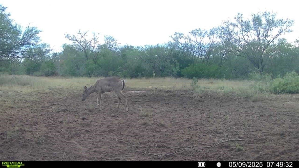 25 acres in Duval County - photo 20