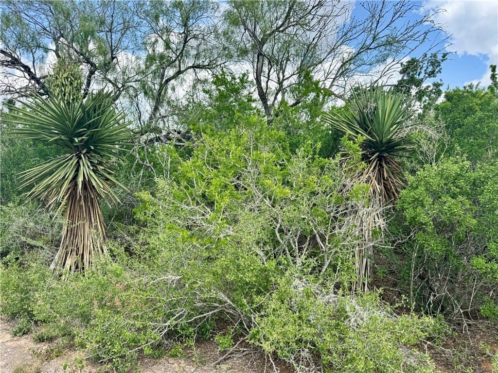 25 acres in Duval County - photo 11