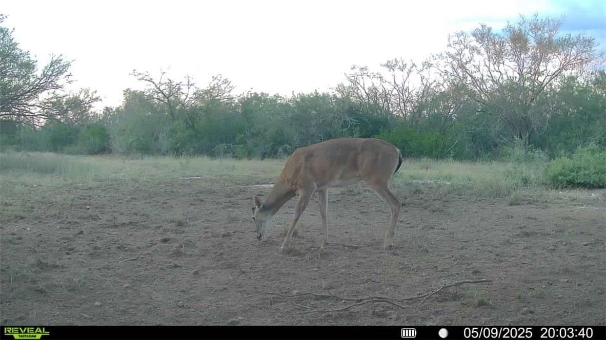 25 acres in Duval County - photo 32