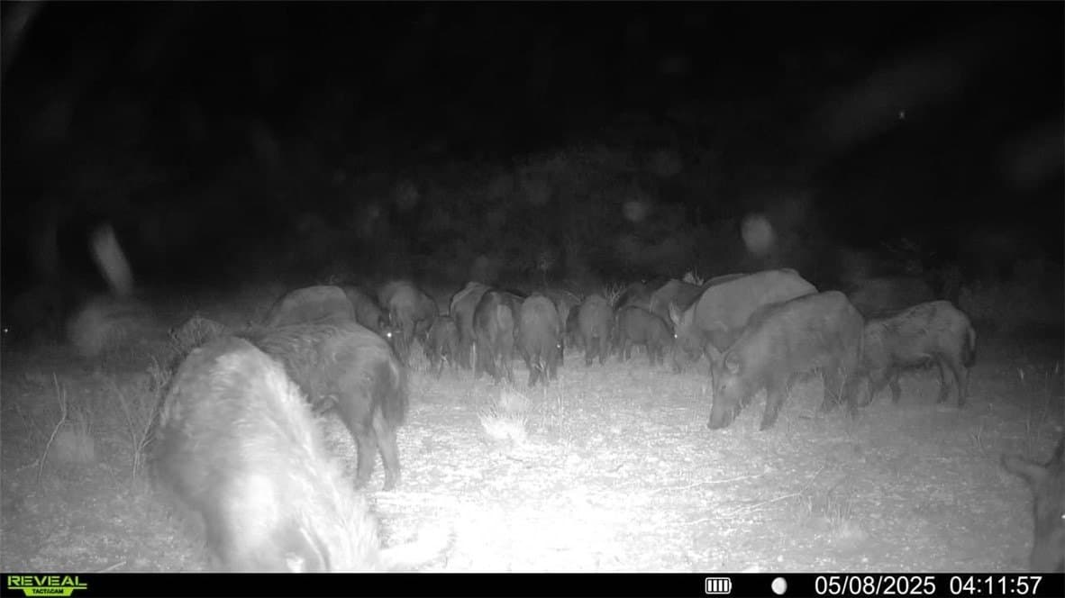 25 acres in Duval County - photo 36