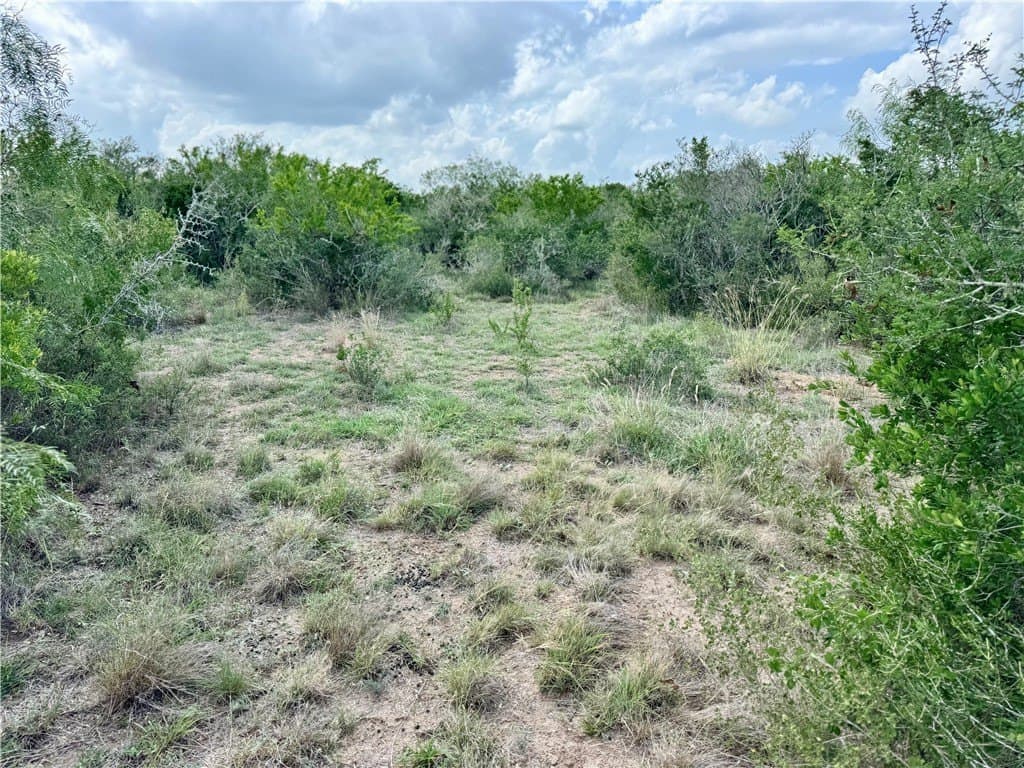 25 acres in Duval County - photo 37
