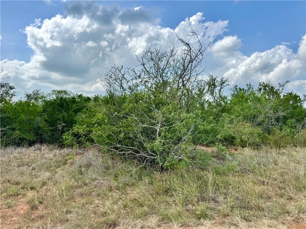 25 acres in Duval County - photo 15