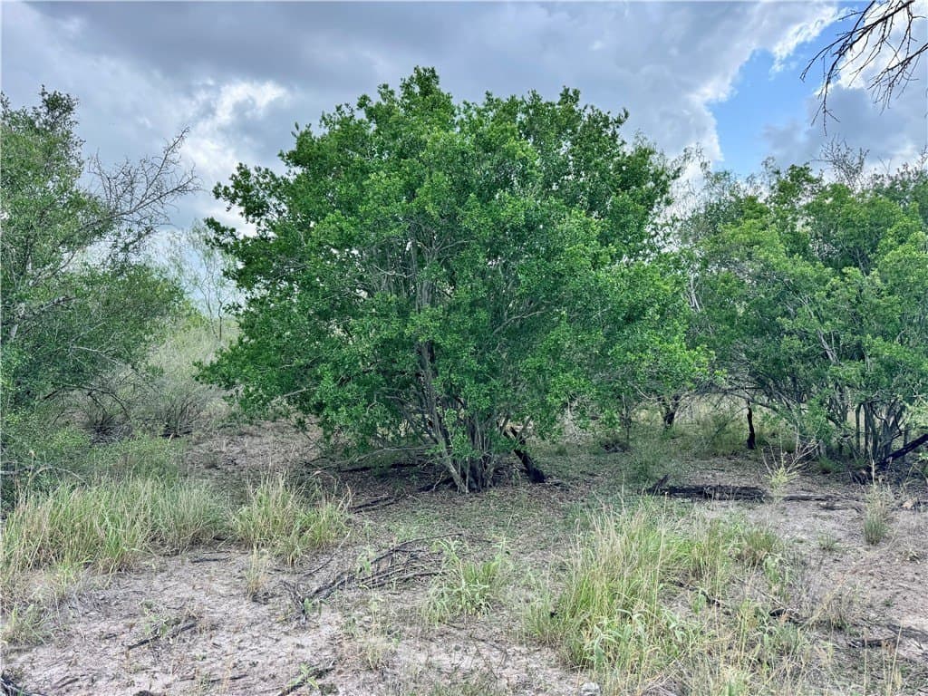 25 acres in Duval County - photo 25
