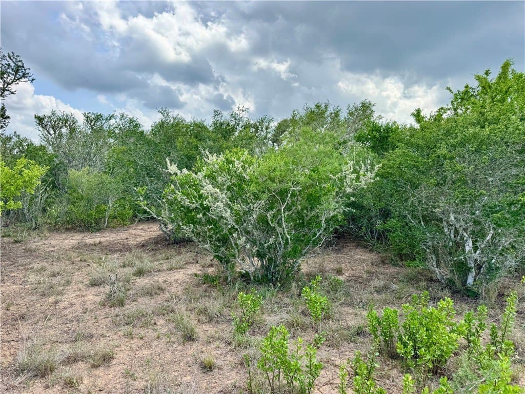 25 acres in Duval County - photo 30