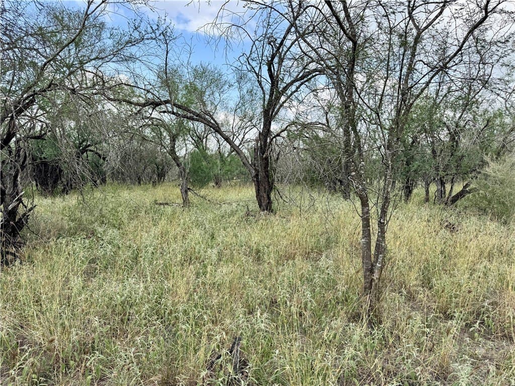 25 acres in Duval County - photo 27