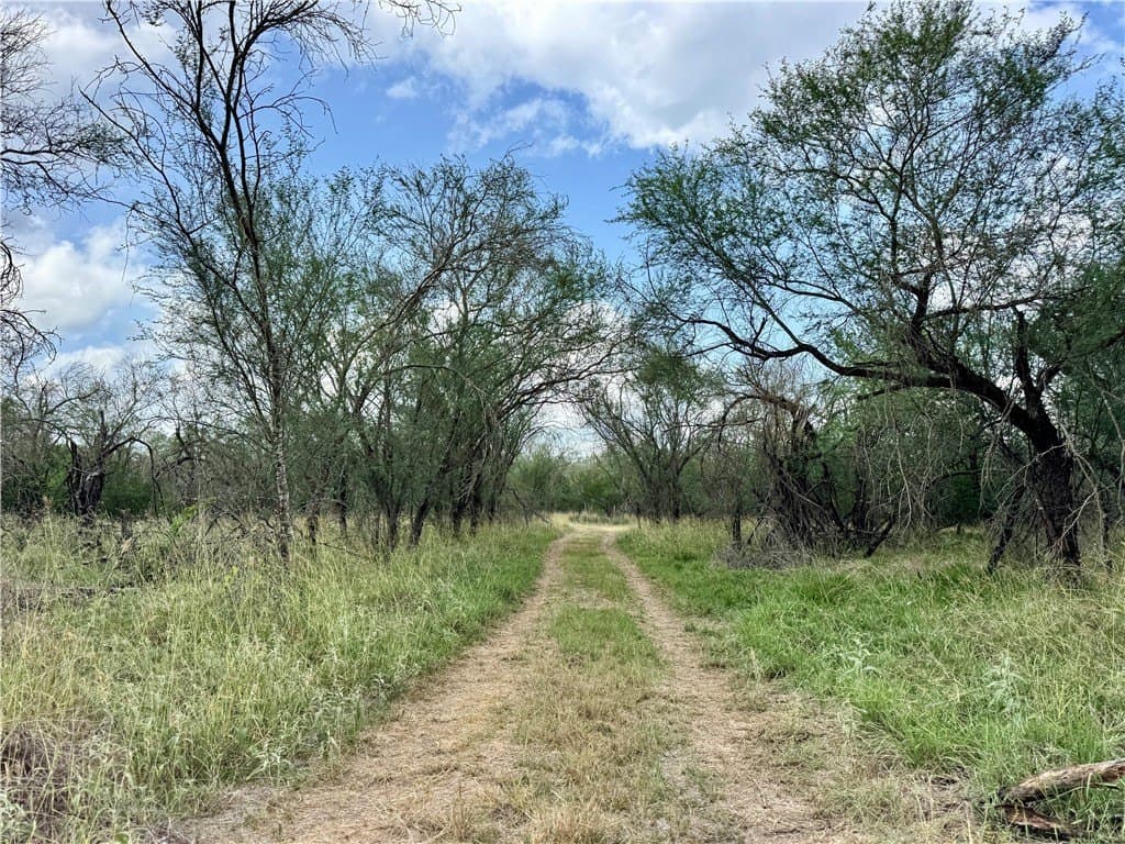 25 acres in Duval County - photo 23