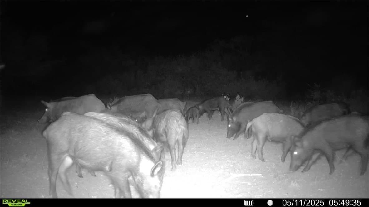 25 acres in Duval County - photo 12