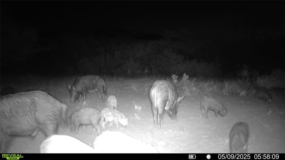 25 acres in Duval County - photo 8