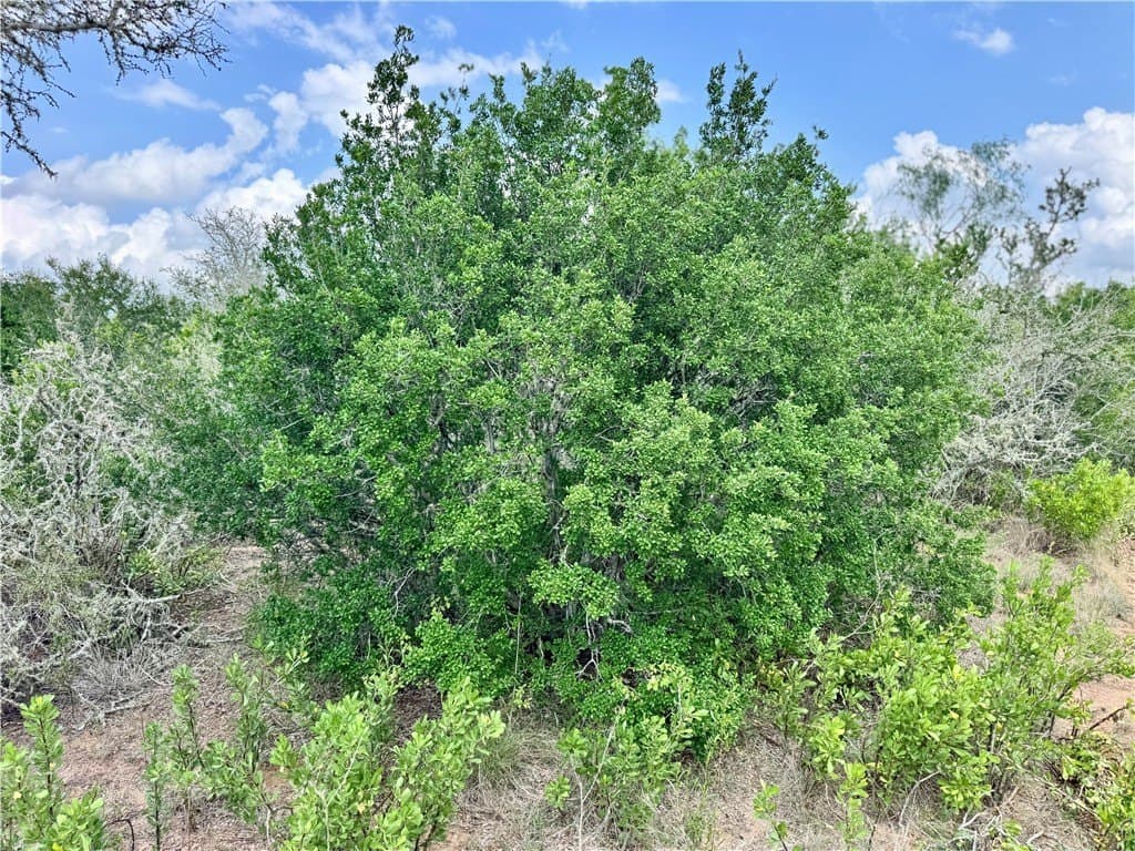 25 acres in Duval County - photo 31