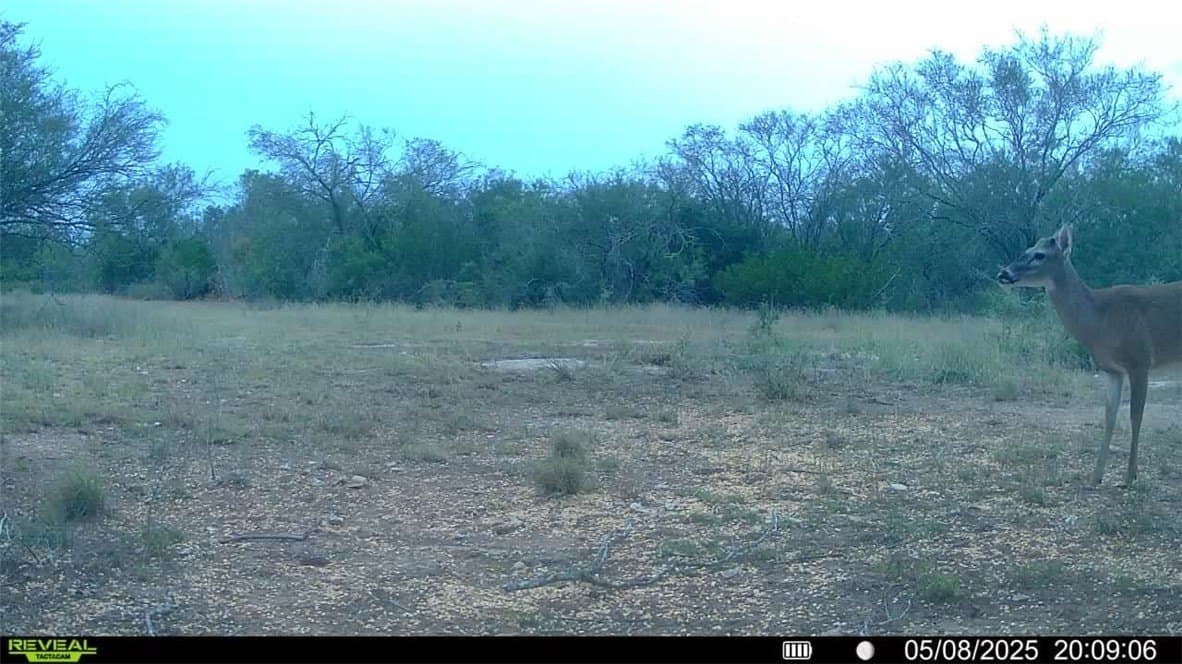 25 acres in Duval County - photo 26