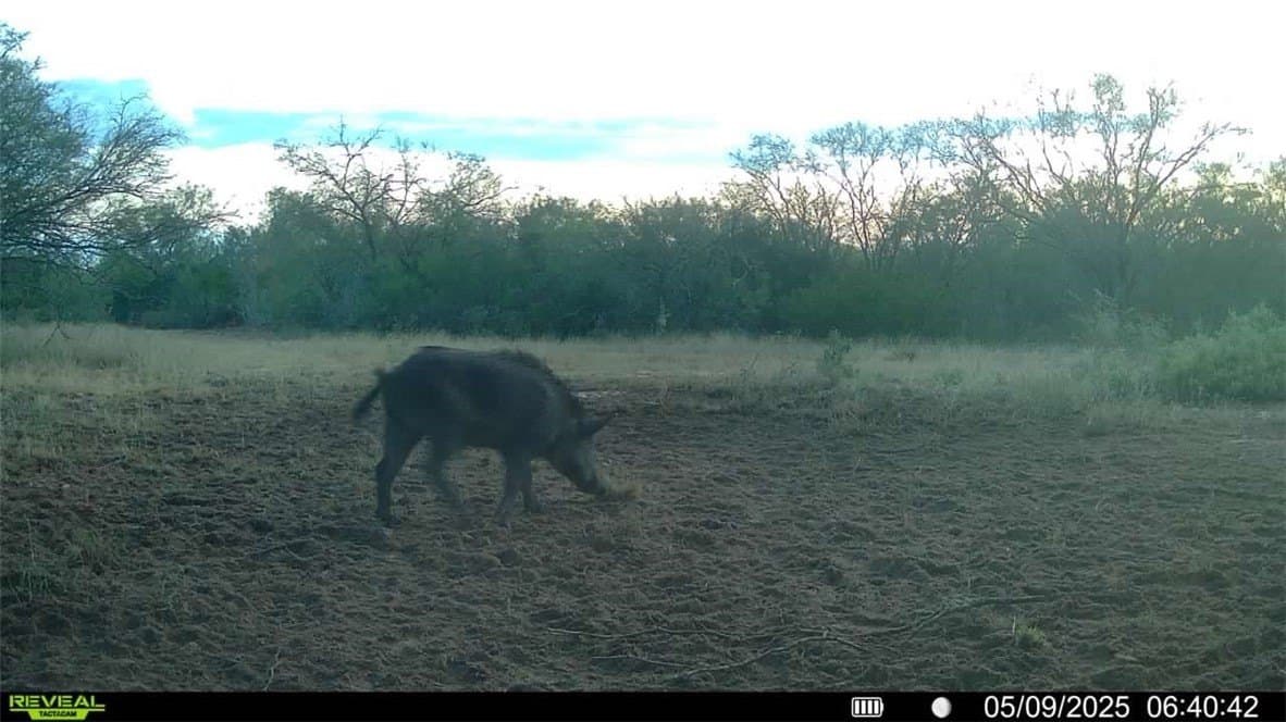 25 acres in Duval County - photo 16