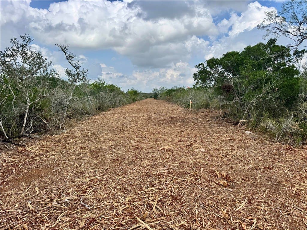 25 acres in Duval County - photo 9