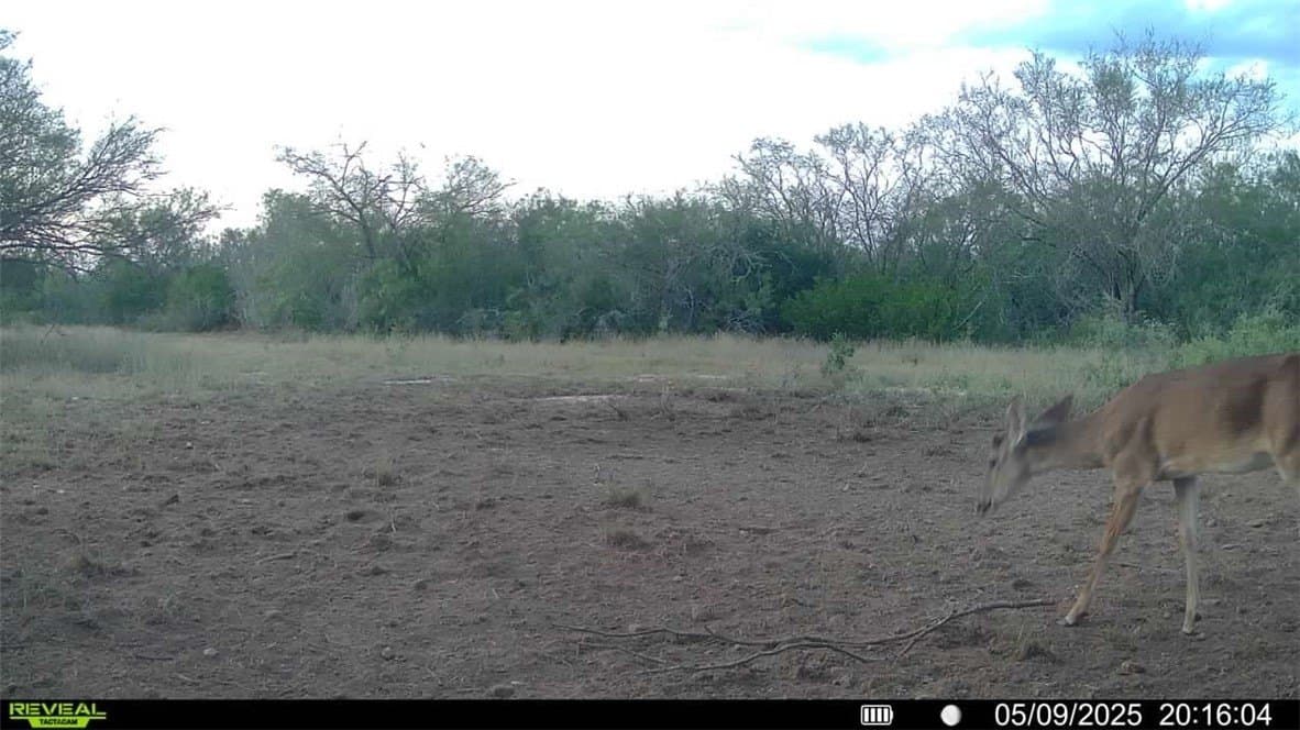 25 acres in Duval County - photo 22