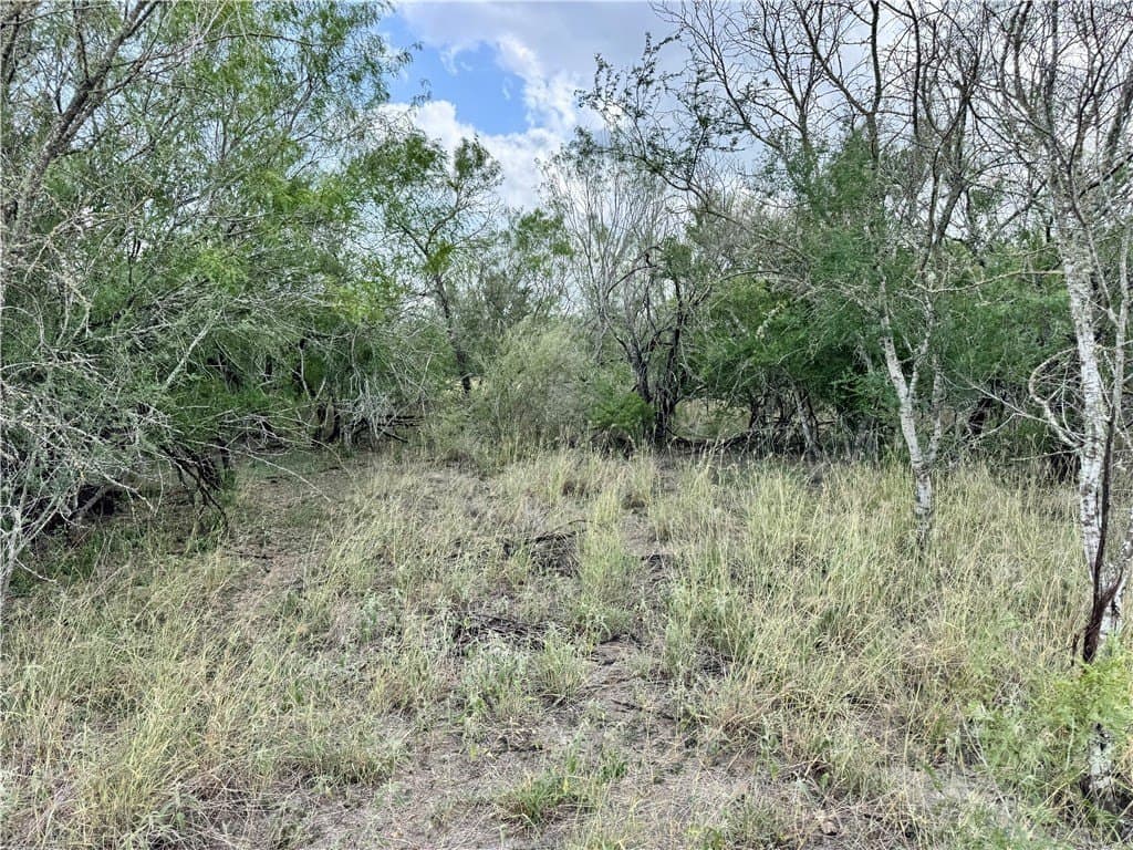 25 acres in Duval County - photo 19