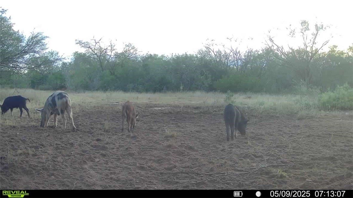 25 acres in Duval County - photo 2