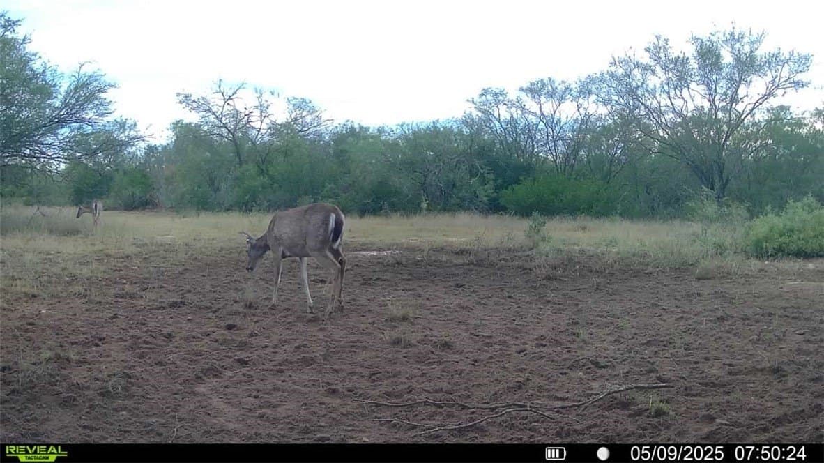 25 acres in Duval County - photo 14