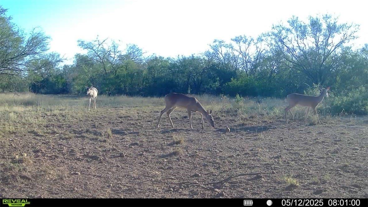 25 acres in Duval County - photo 10