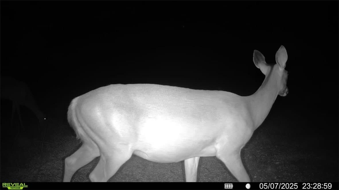 25 acres in Duval County - photo 38