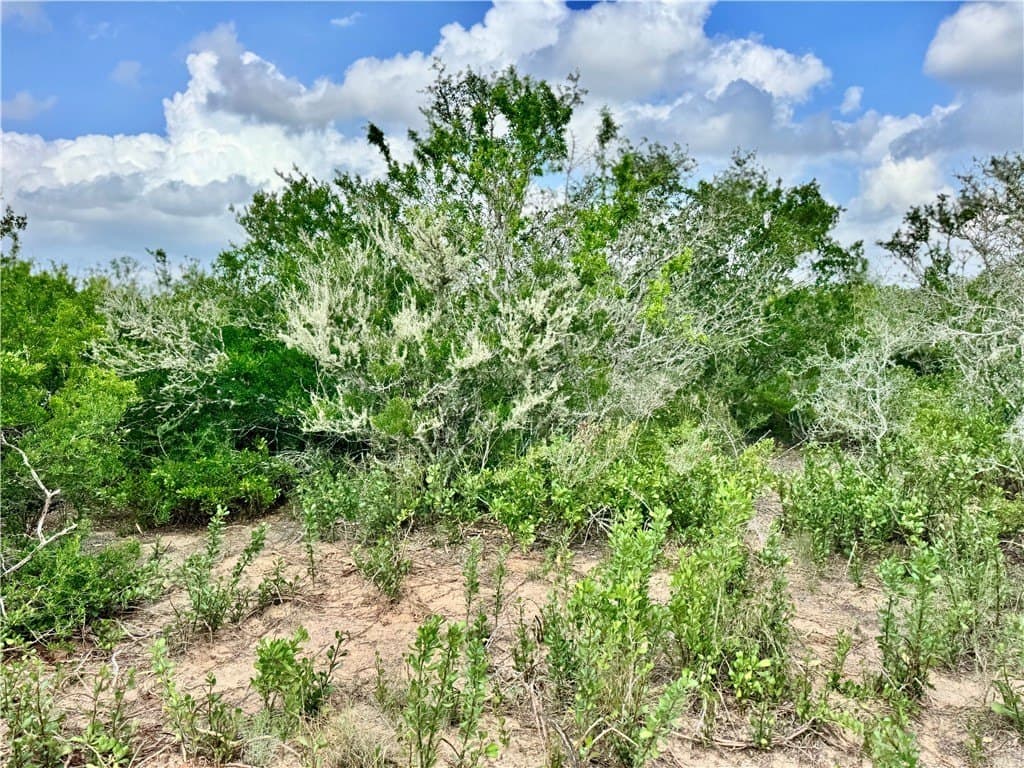 25 acres in Duval County - photo 39