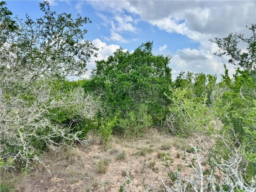 25 acres in Duval County - photo 34