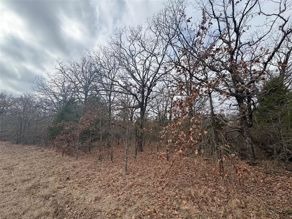 0.07 acres in Henderson County - photo 3