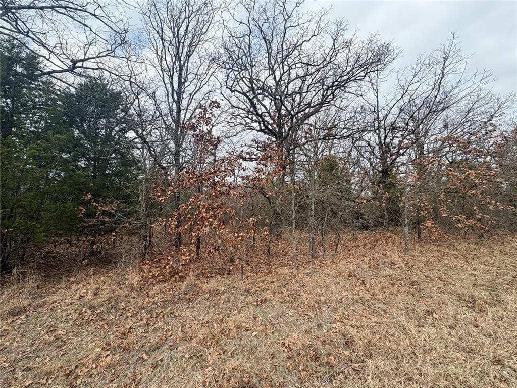 0.07 acres in Henderson County - photo 2