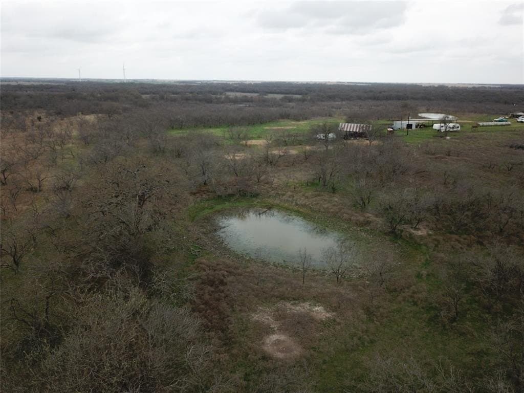253.67 acres in Limestone County - photo 31