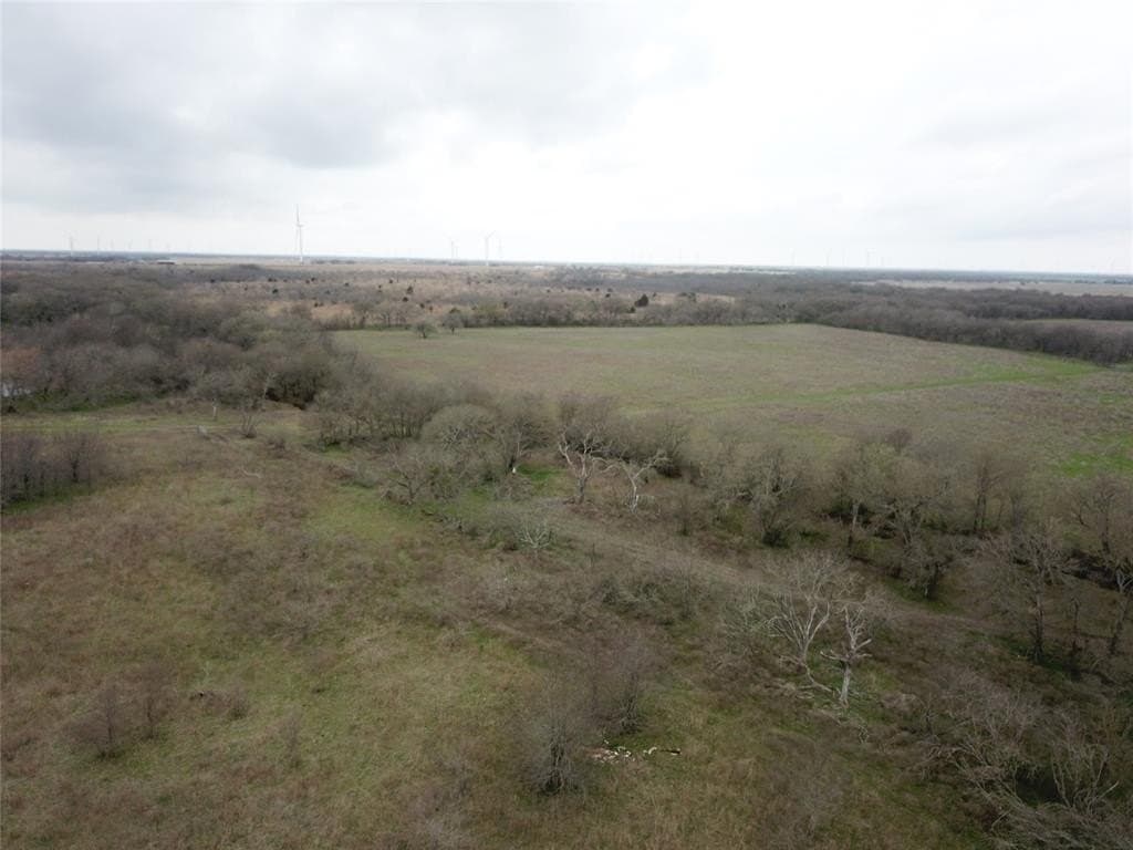 253.67 acres in Limestone County - photo 36