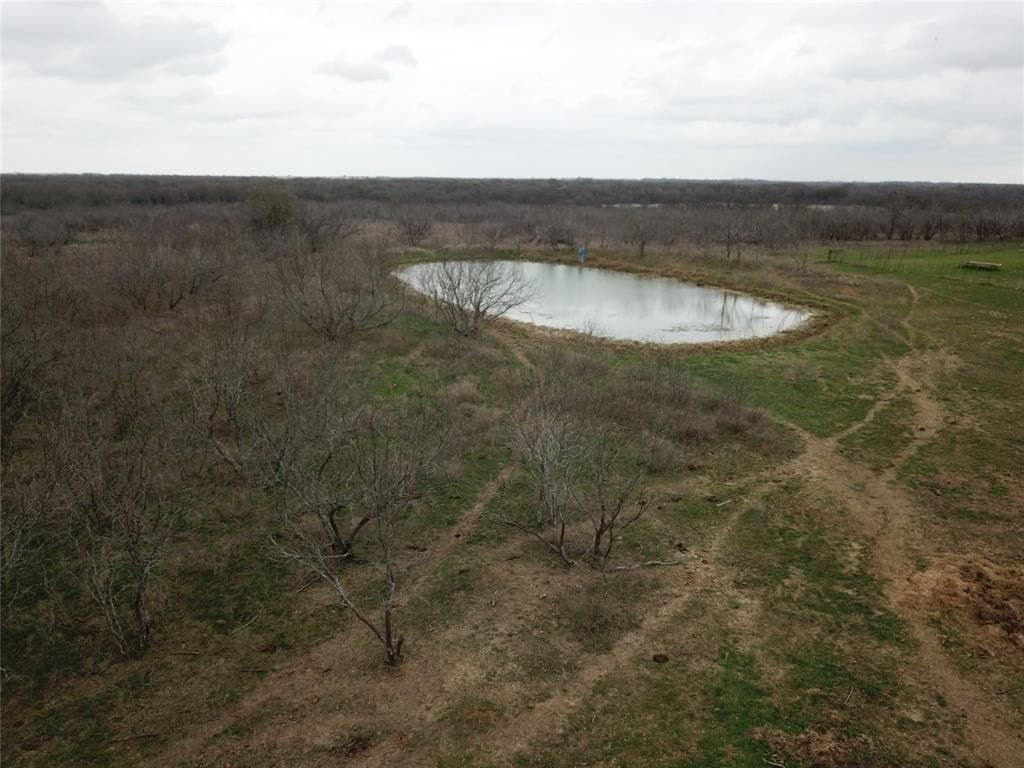 253.67 acres in Limestone County - photo 32