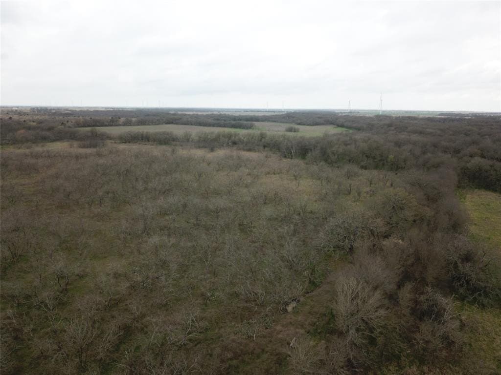 253.67 acres in Limestone County - photo 34