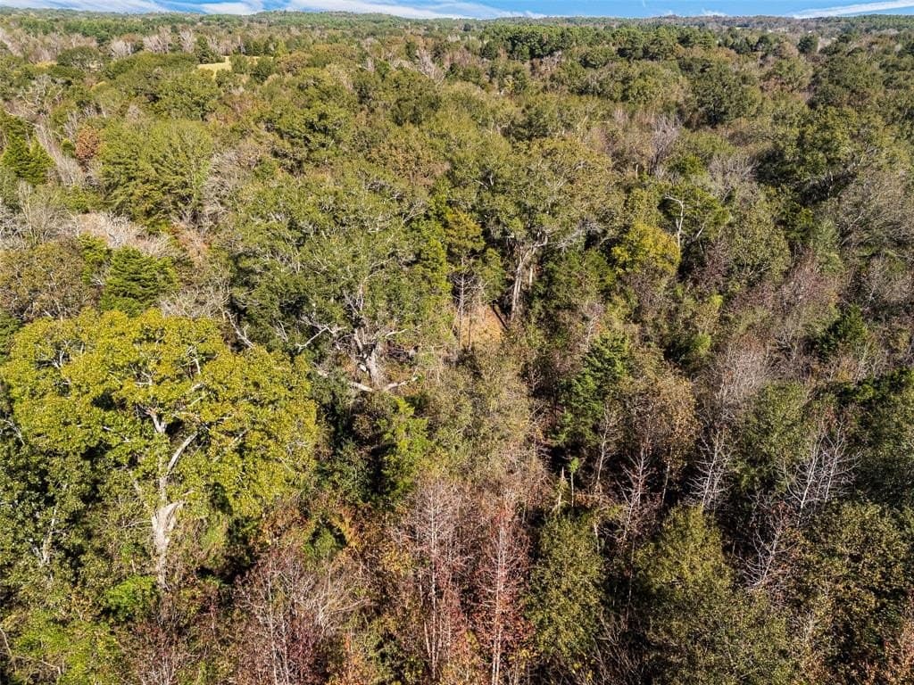 17 acres in Van Zandt County - photo 19
