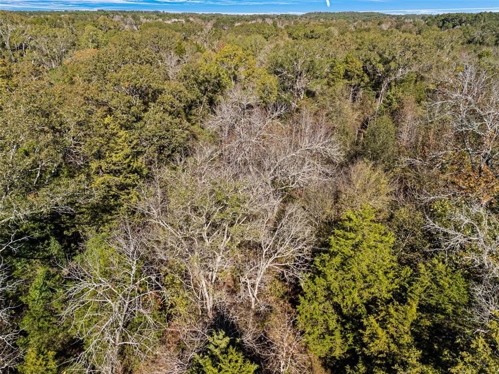 17 acres in Van Zandt County - photo 18