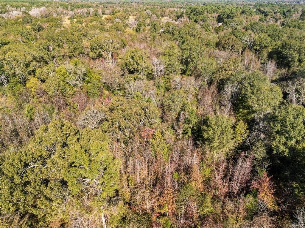 17 acres in Van Zandt County - photo 10
