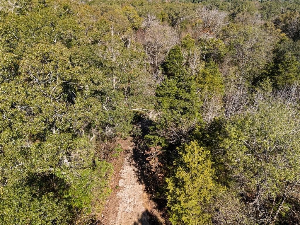 17 acres in Van Zandt County - photo 16