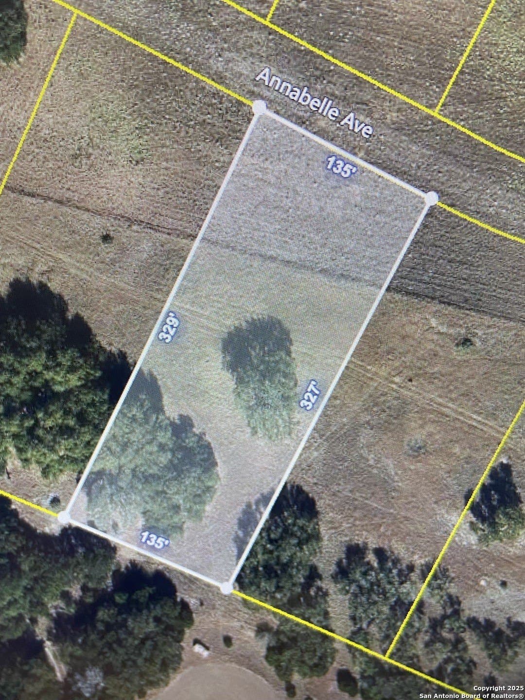 1.01 acres in Comal County - photo 5
