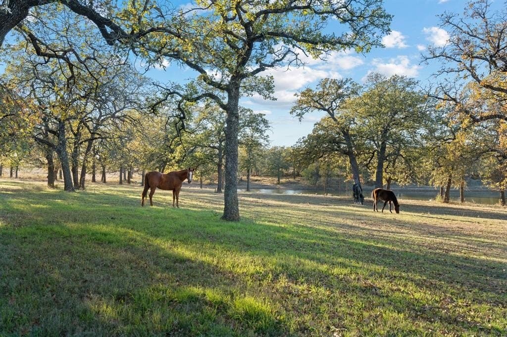 33.34 acres in Wise County - photo 4