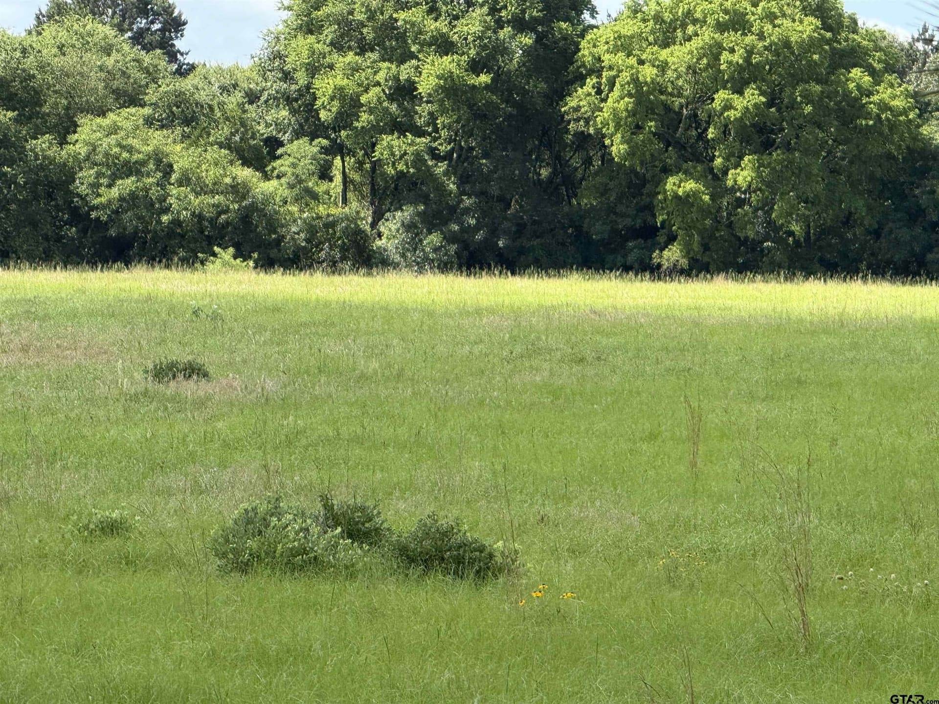 10 acres in Rusk County - photo 7