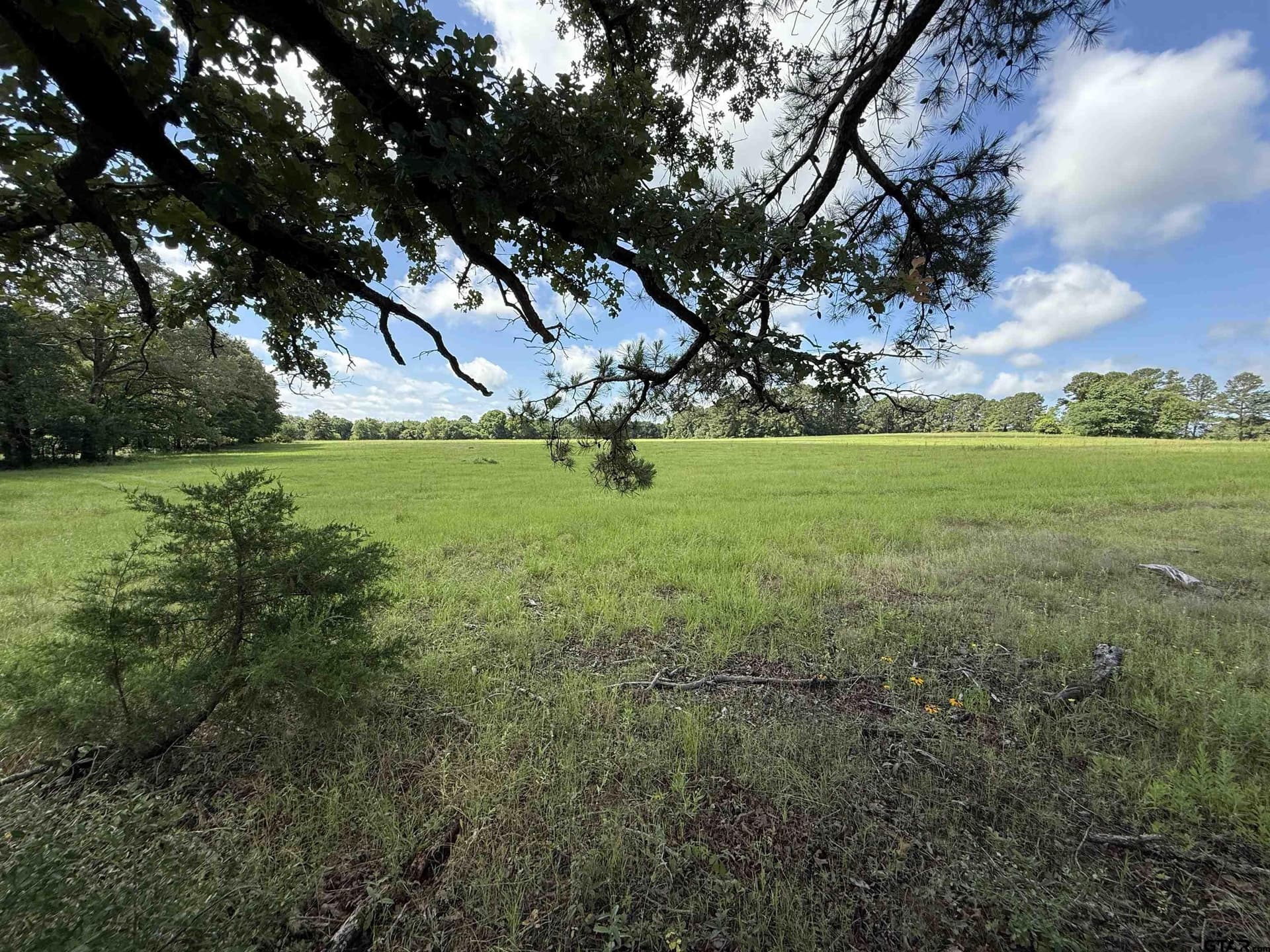 10 acres in Rusk County - photo 6