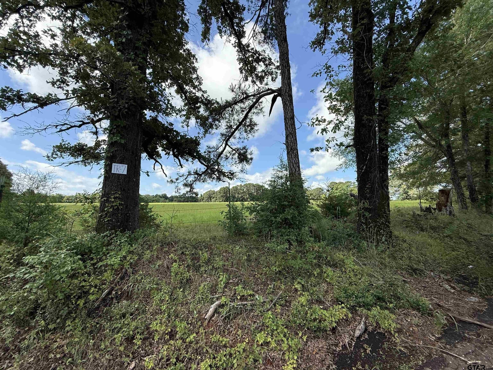 10 acres in Rusk County - photo 4