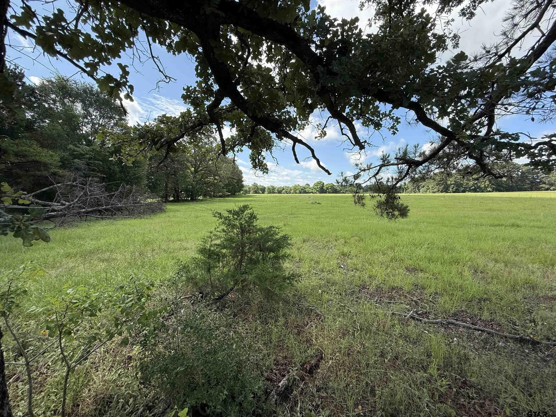 10 acres in Rusk County - photo 5