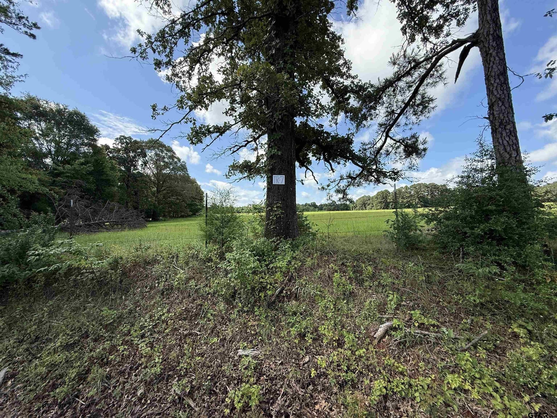 10 acres in Rusk County - photo 2