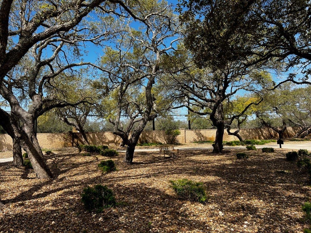 0 acres in Aransas County - photo 23