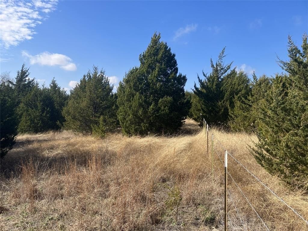 5.02 acres in Collin County - photo 4