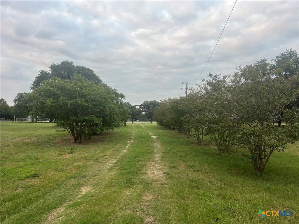 24.51 acres in Bell County - photo 4