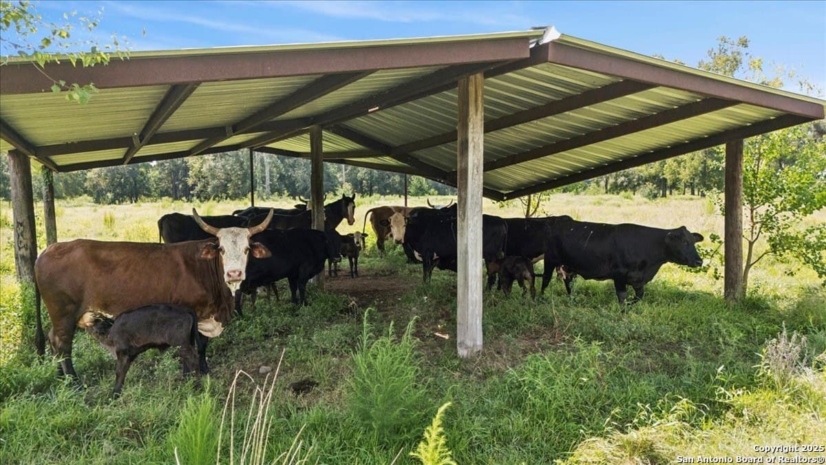 133 acres in Orange County - photo 46