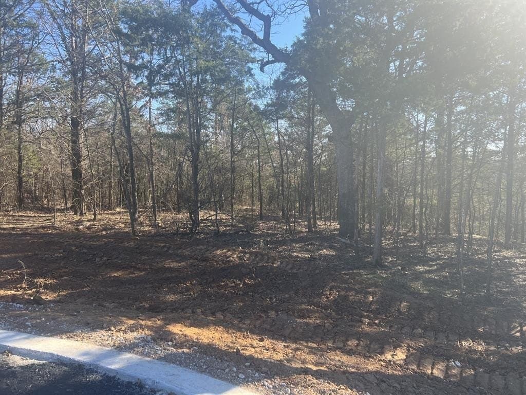 0.41 acres in Grayson County - photo 2